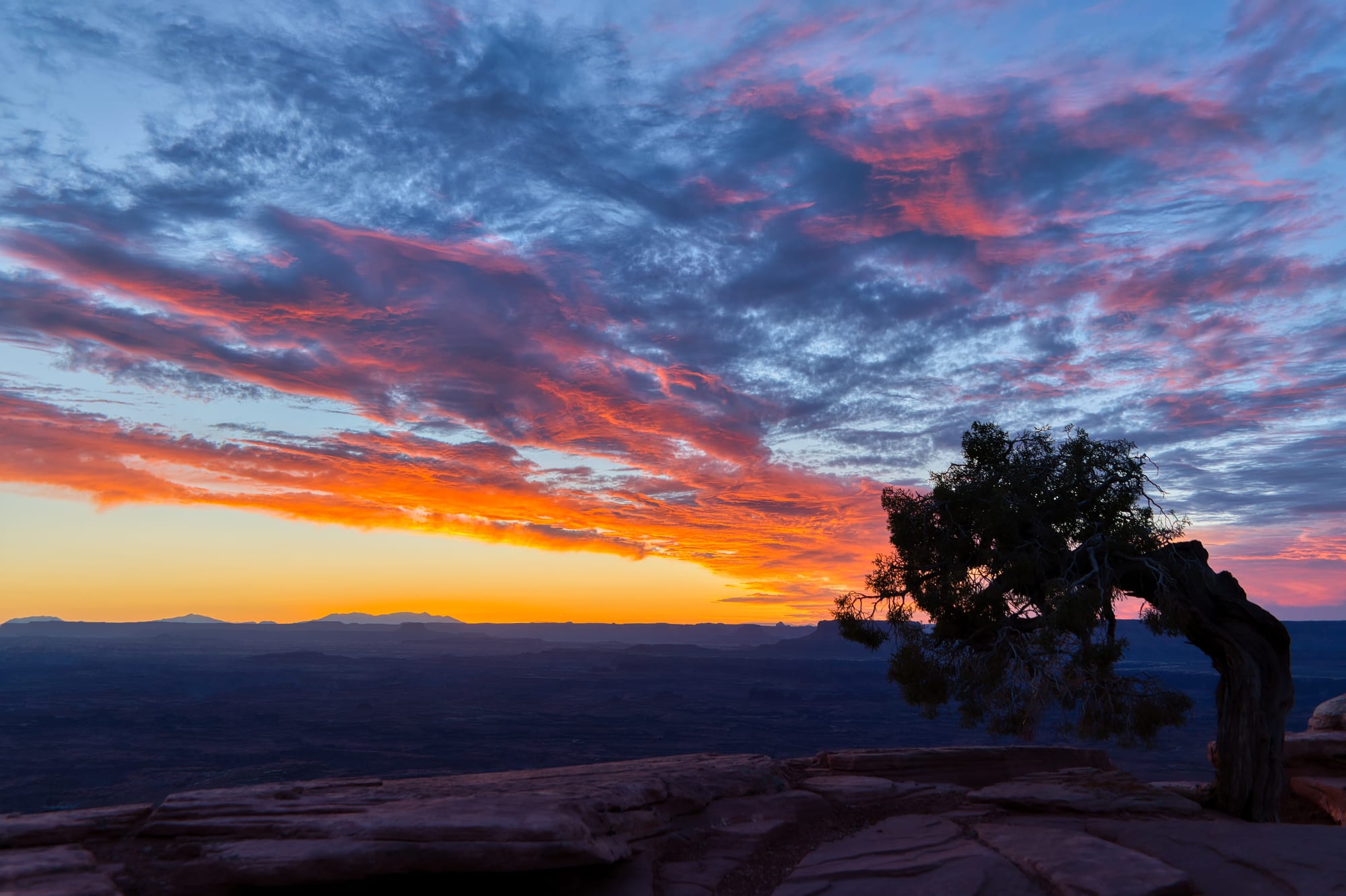 Sunset over Canyonlands National Park, viewed from BLM's Needles Overlook in Utah.